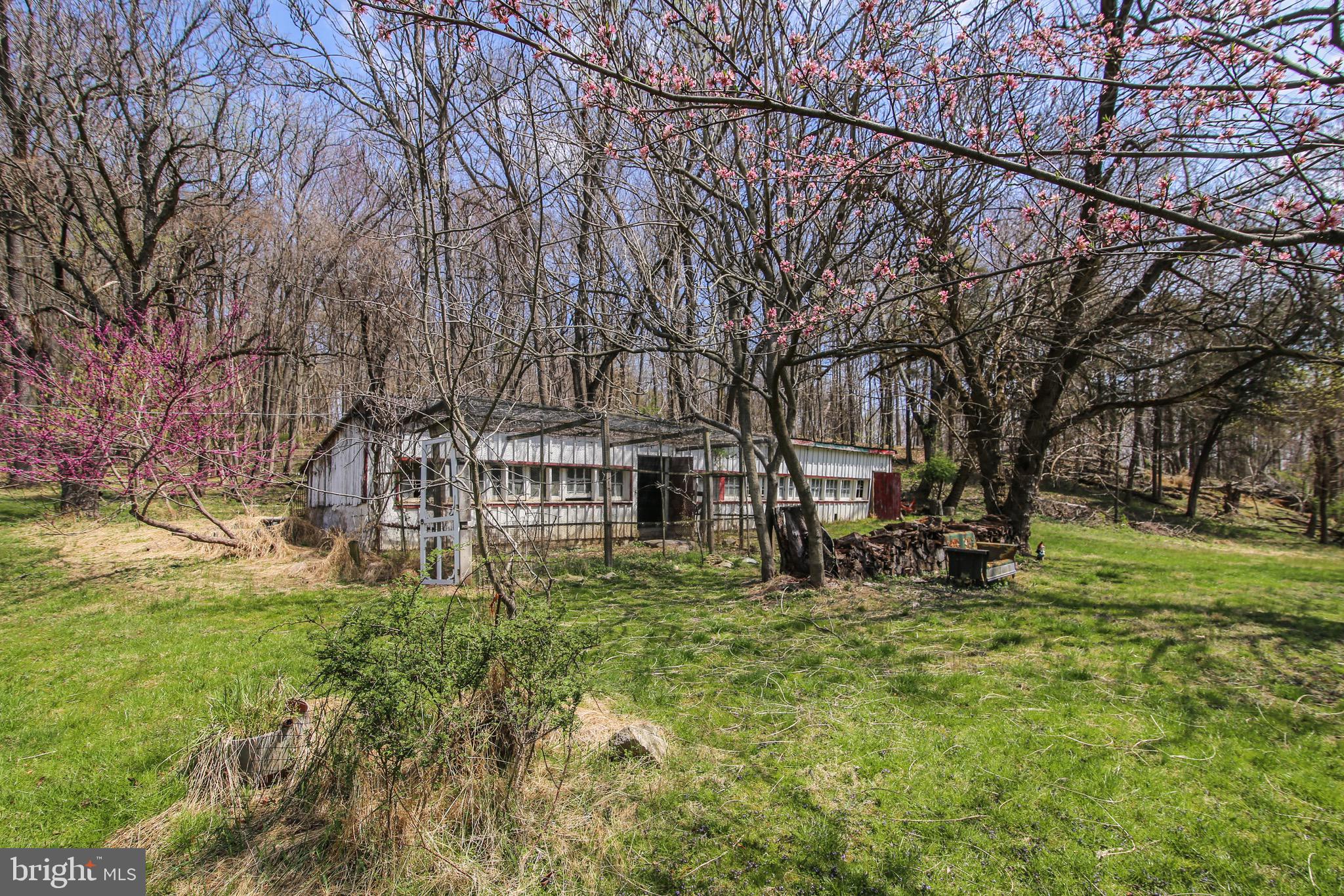9602 Baltimore Road Frederick, MD 21701 - Photo 26 of 52 Chicken coop