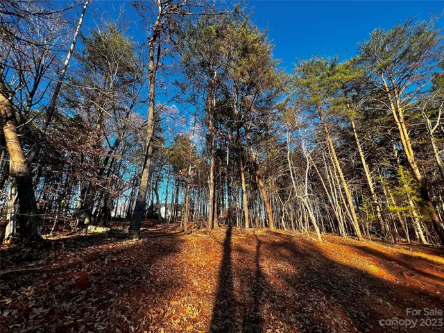 a view of outdoor space with garden