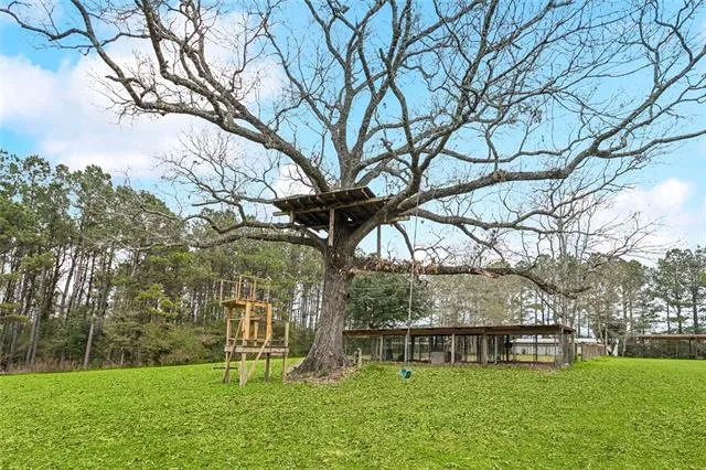 $750,000 | 19632 Carol Morgan Road, Franklinton, LA 70438