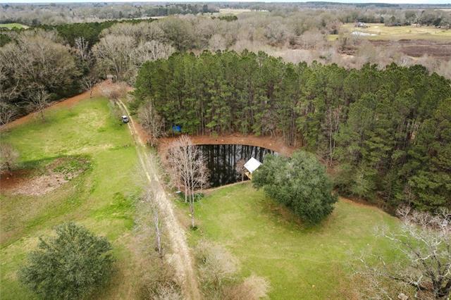 19632 Carol Morgan Road Franklinton, LA 70438 - Photo 50 of 53