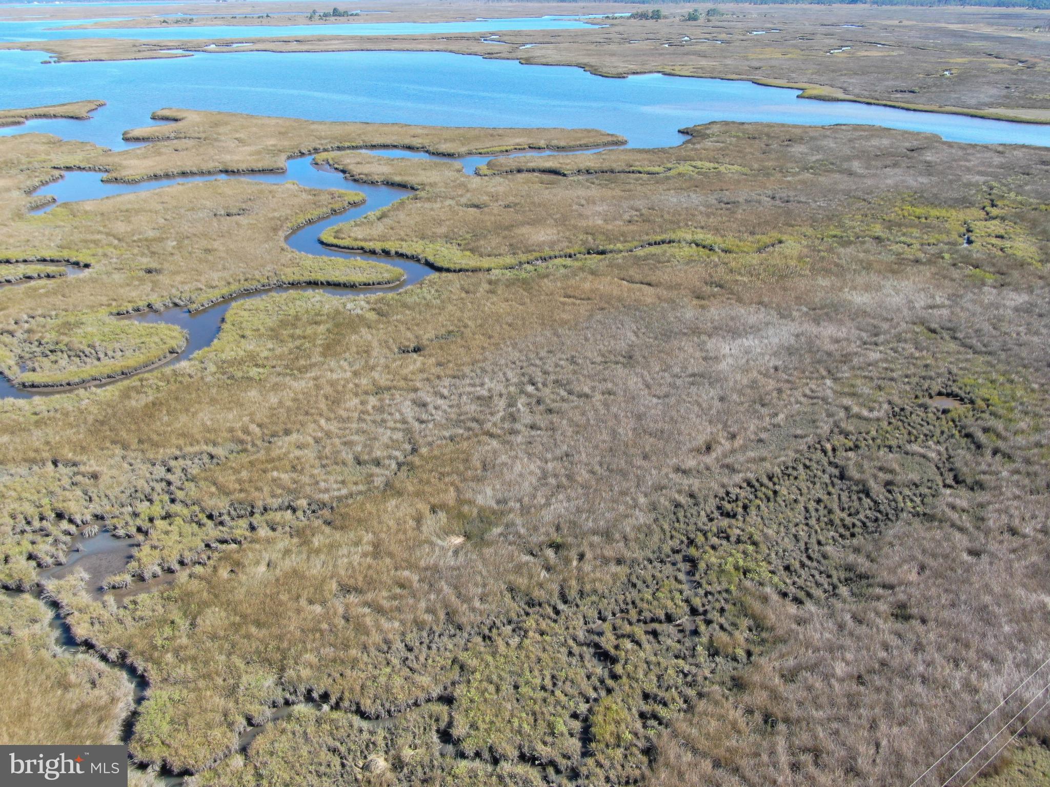 0 Rumbley Road Westover, MD 21871 - Photo 6 of 7