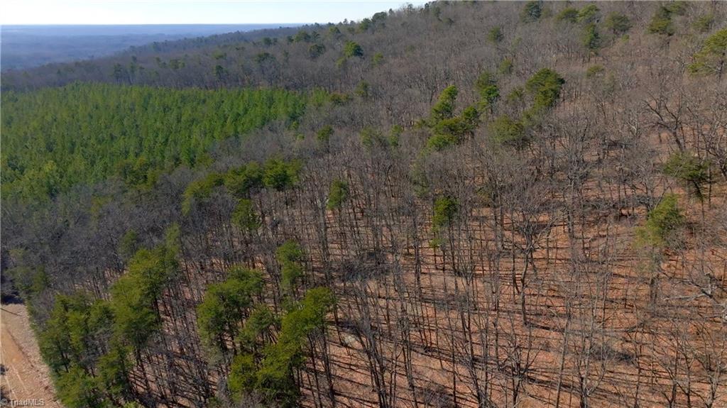 0 Seven Spgs Road Danbury, NC 27016 - Photo 12 of 35 Gallery Image 12
