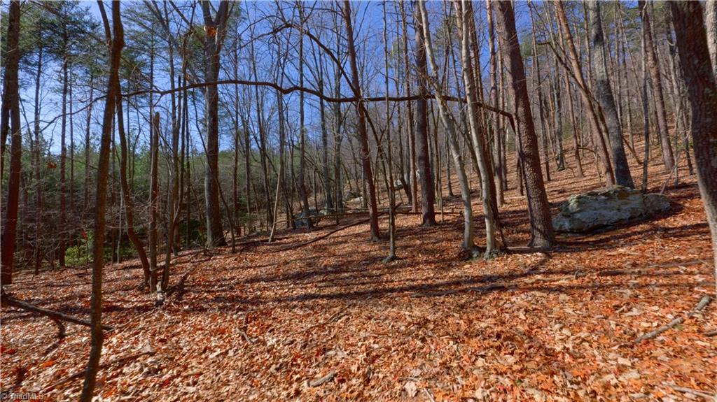 0 Seven Spgs Road Danbury, NC 27016 - Photo 18 of 35 Gallery Image 18