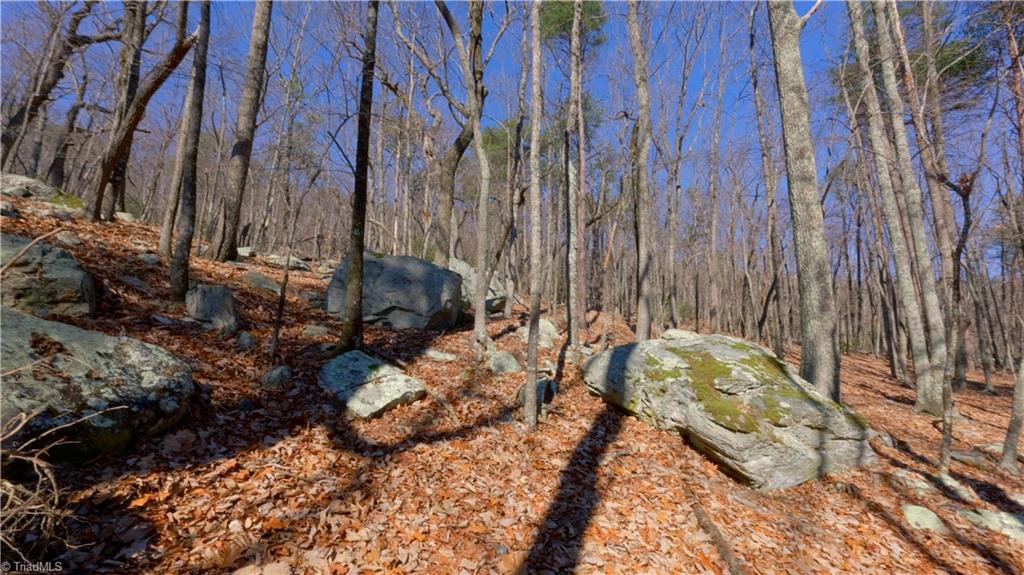 0 Seven Spgs Road Danbury, NC 27016 - Photo 24 of 35 Gallery Image 24