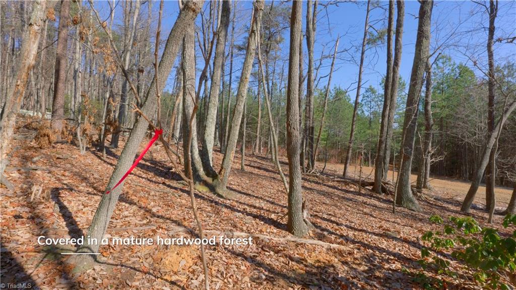 0 Seven Spgs Road Danbury, NC 27016 - Photo 29 of 35 Gallery Image 29