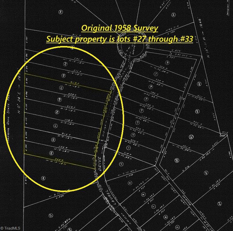 0 Seven Spgs Road Danbury, NC 27016 - Photo 30 of 35 Gallery Image 30