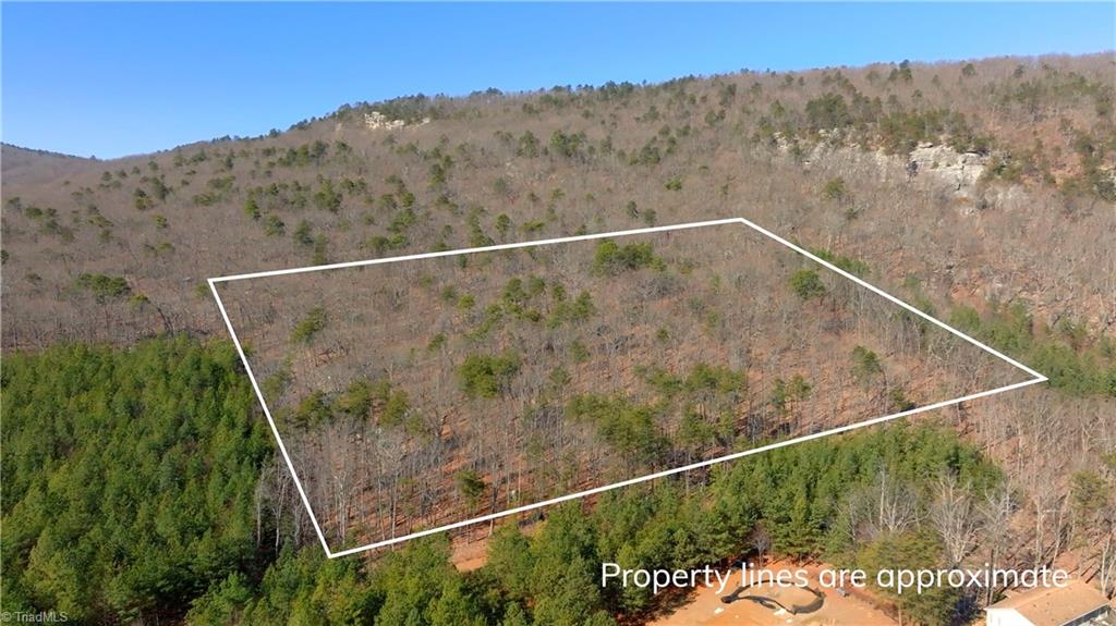 0 Seven Spgs Road Danbury, NC 27016 - Photo 3 of 35 Gallery Image 3