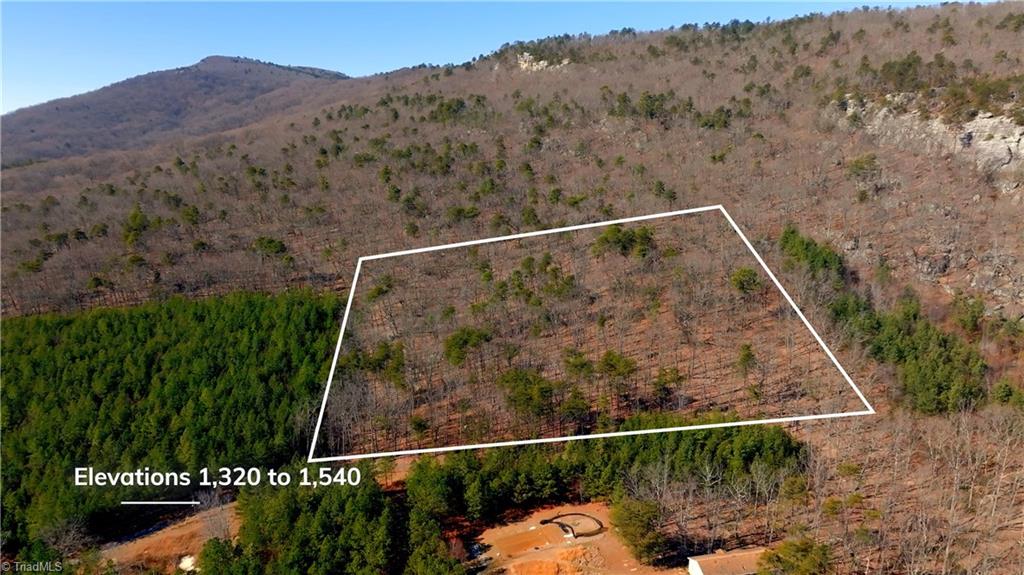 0 Seven Spgs Road Danbury, NC 27016 - Photo 7 of 35 Gallery Image 7
