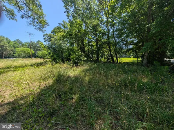 a view of a lush green space