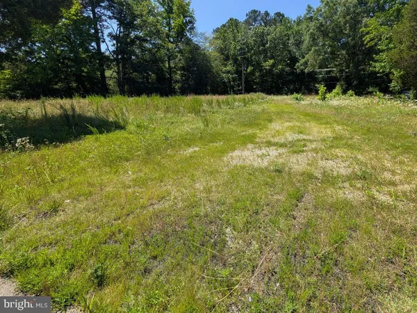 a view of yard with green space