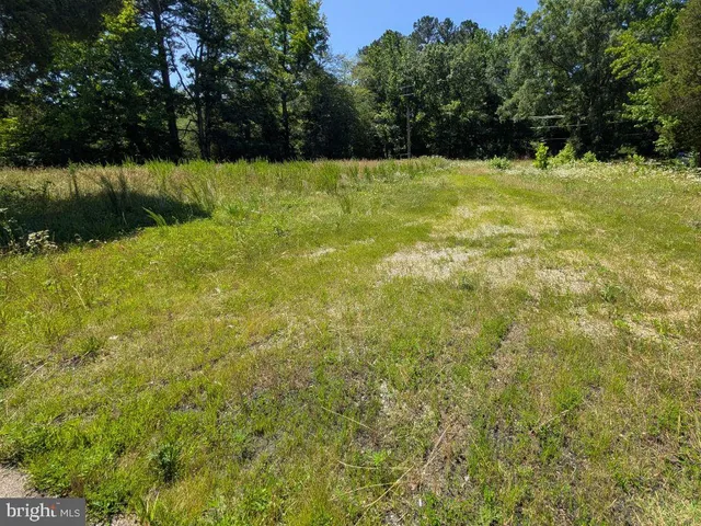 a view of yard with green space
