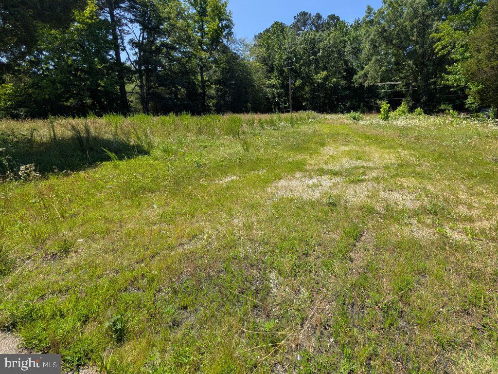 20225 Point Lookout Road Great Mills, MD 20634 - Photo 5 of 6 a view of yard with green space