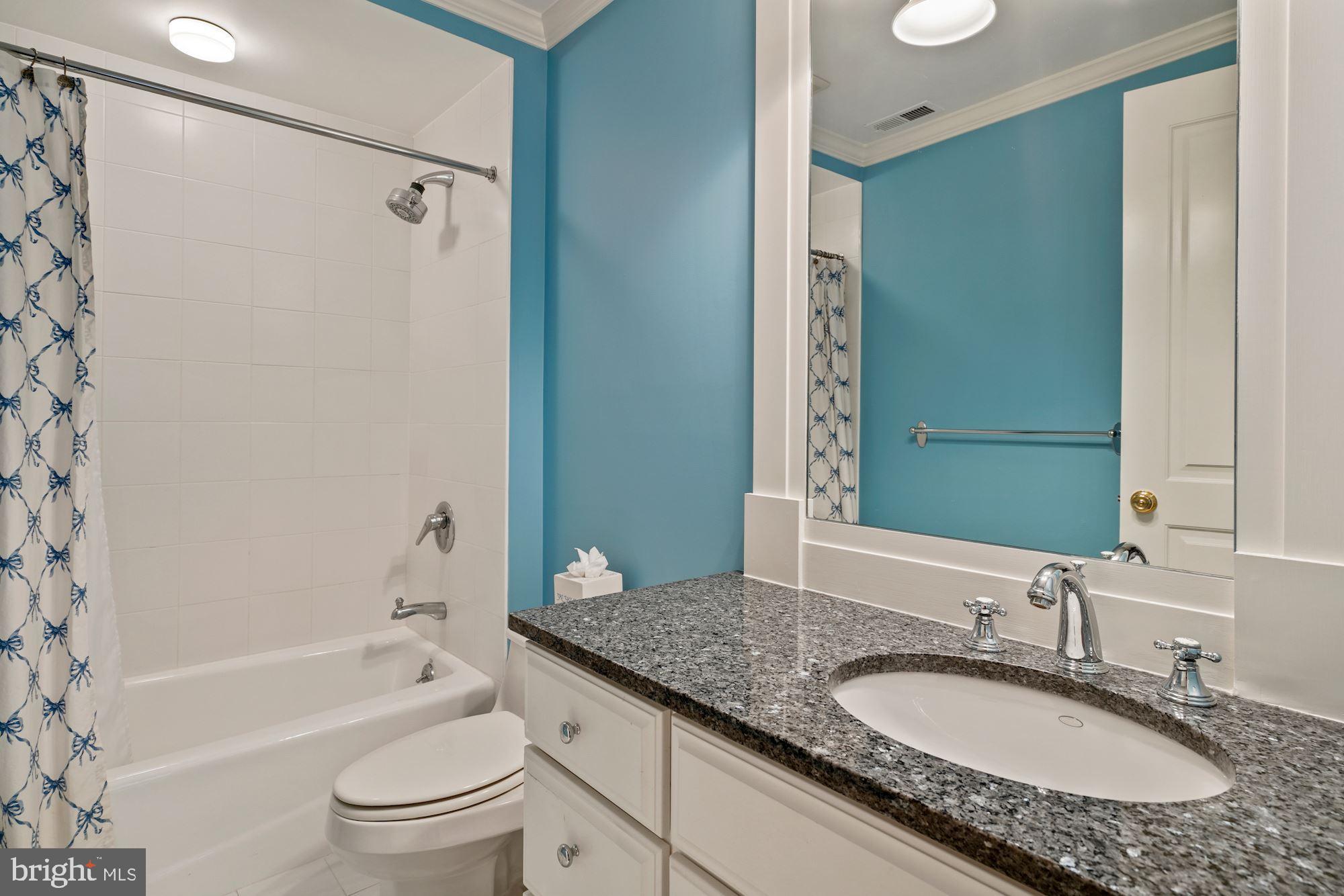 2960 Chain Bridge Road Northwest Washington, DC 20016 - Photo 31 of 40 En-suite Full Bath