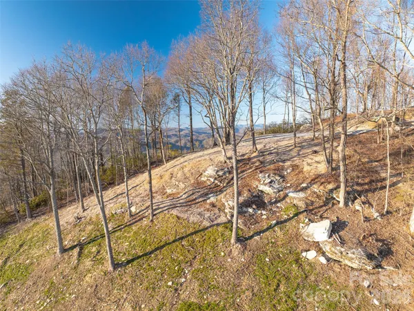 a view of a backyard with wooden fence