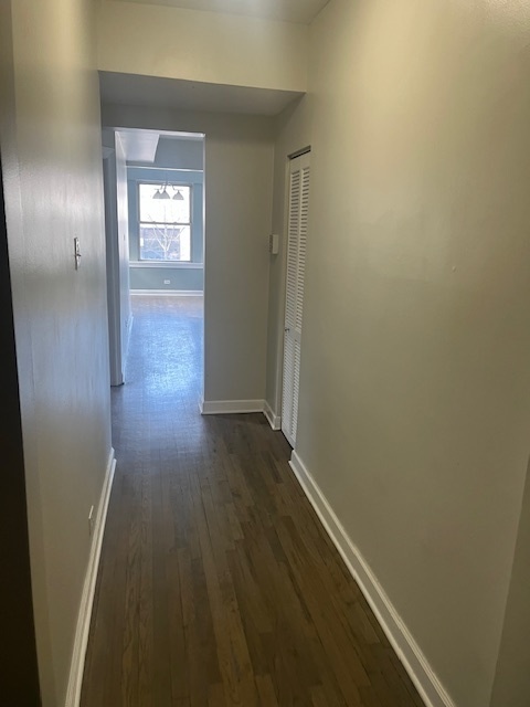 5745 North Ridge Avenue, Unit 1W Chicago, IL 60660 - Photo 6 of 19 Gallery Image 6