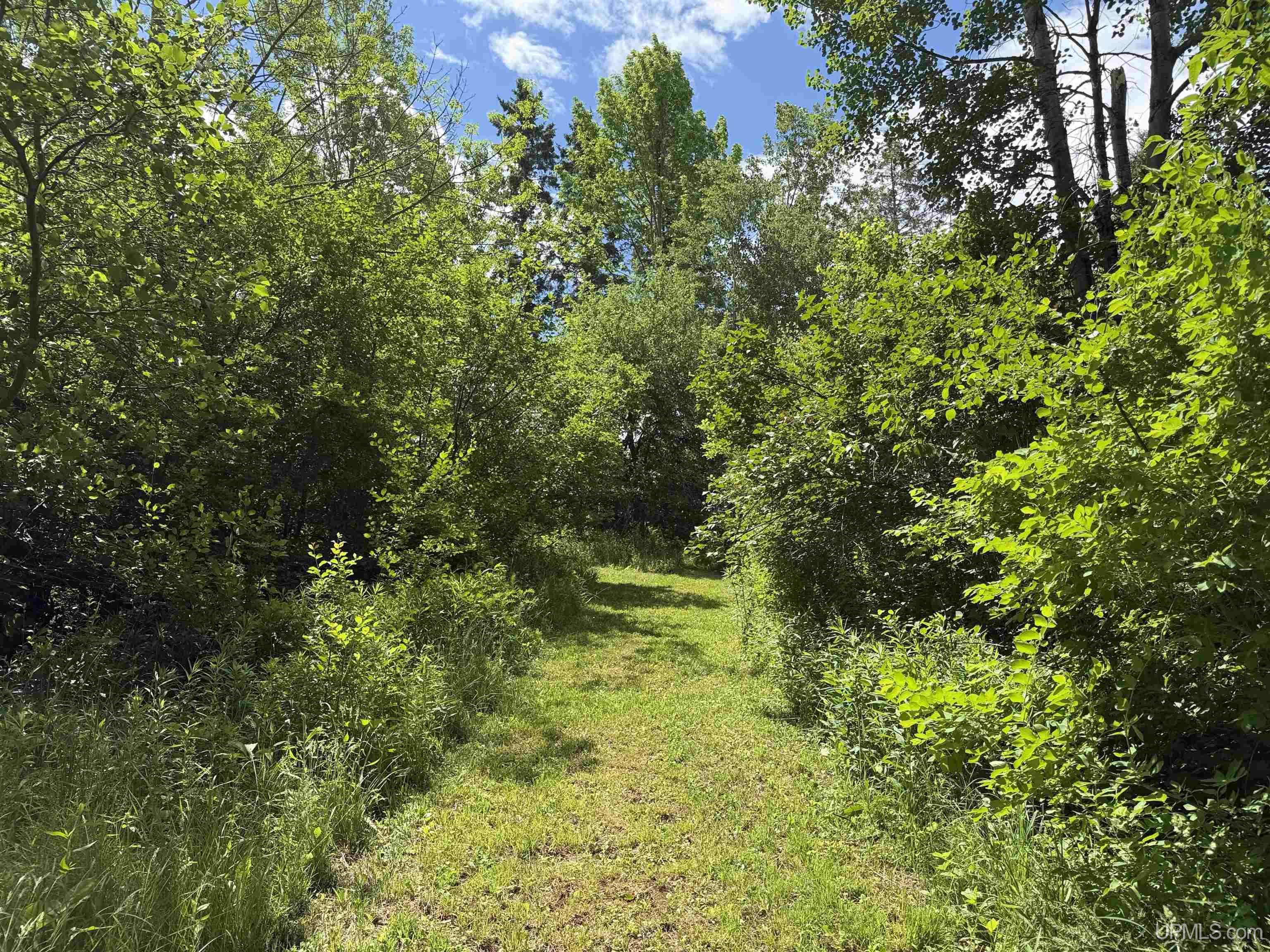 1001 Tilden Road Bessemer, MI 49911 - Photo 19 of 73