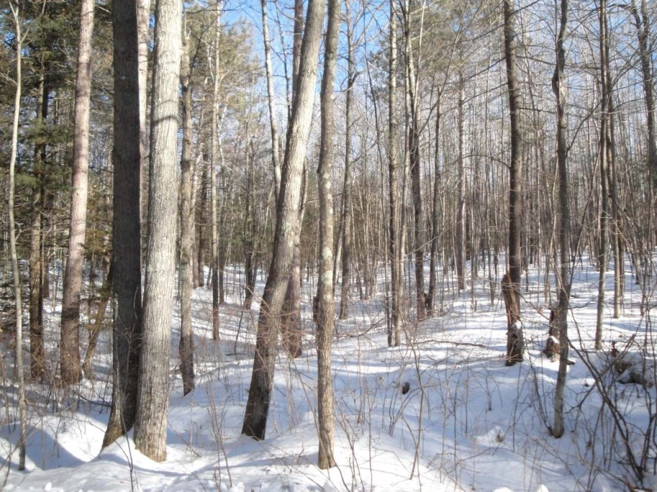 Lot 2 Cedar Lane Rhinelander, WI 54501 - Photo 15 of 19 Gallery Image 15