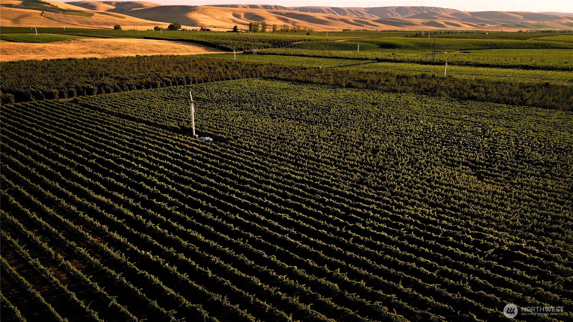 129650 Edwards Road Milton Freewater, OR 97862 - Photo 6 of 10