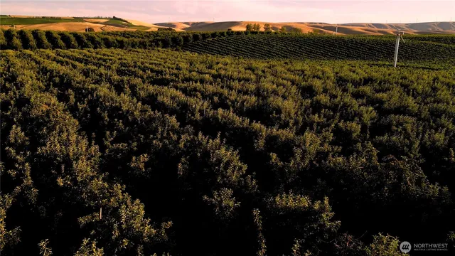 $1,450,000 | 129650 Edwards Road, Milton Freewater, OR 97862