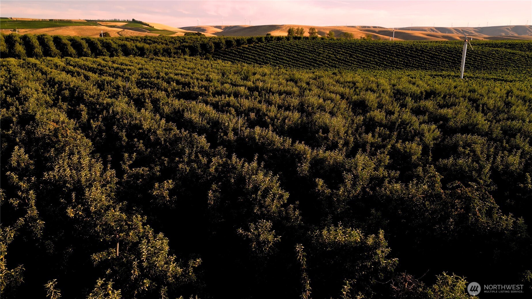 129650 Edwards Road Milton Freewater, OR 97862 - Photo 7 of 10