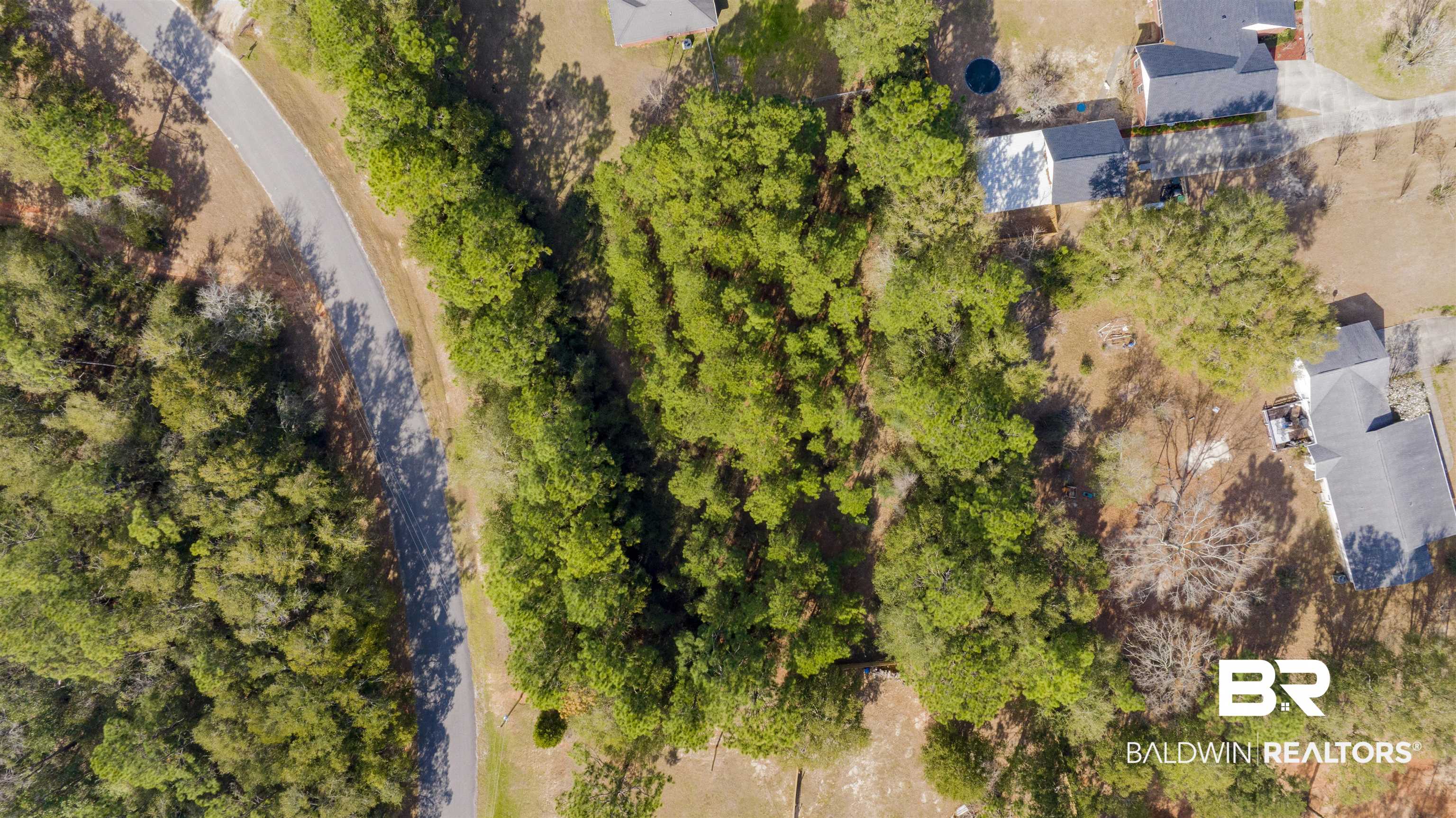 Lot 38 Erin Pond Road Seminole, AL 36574 - Photo 1 of 15