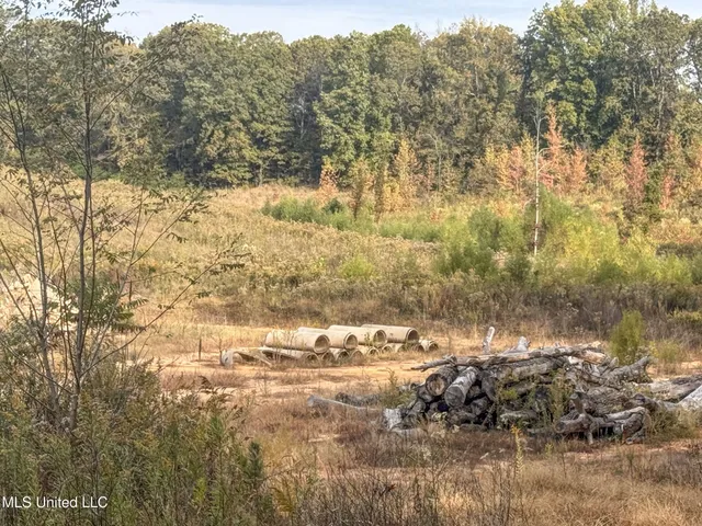 $68,000 | Eureka Road, Batesville, MS 38606