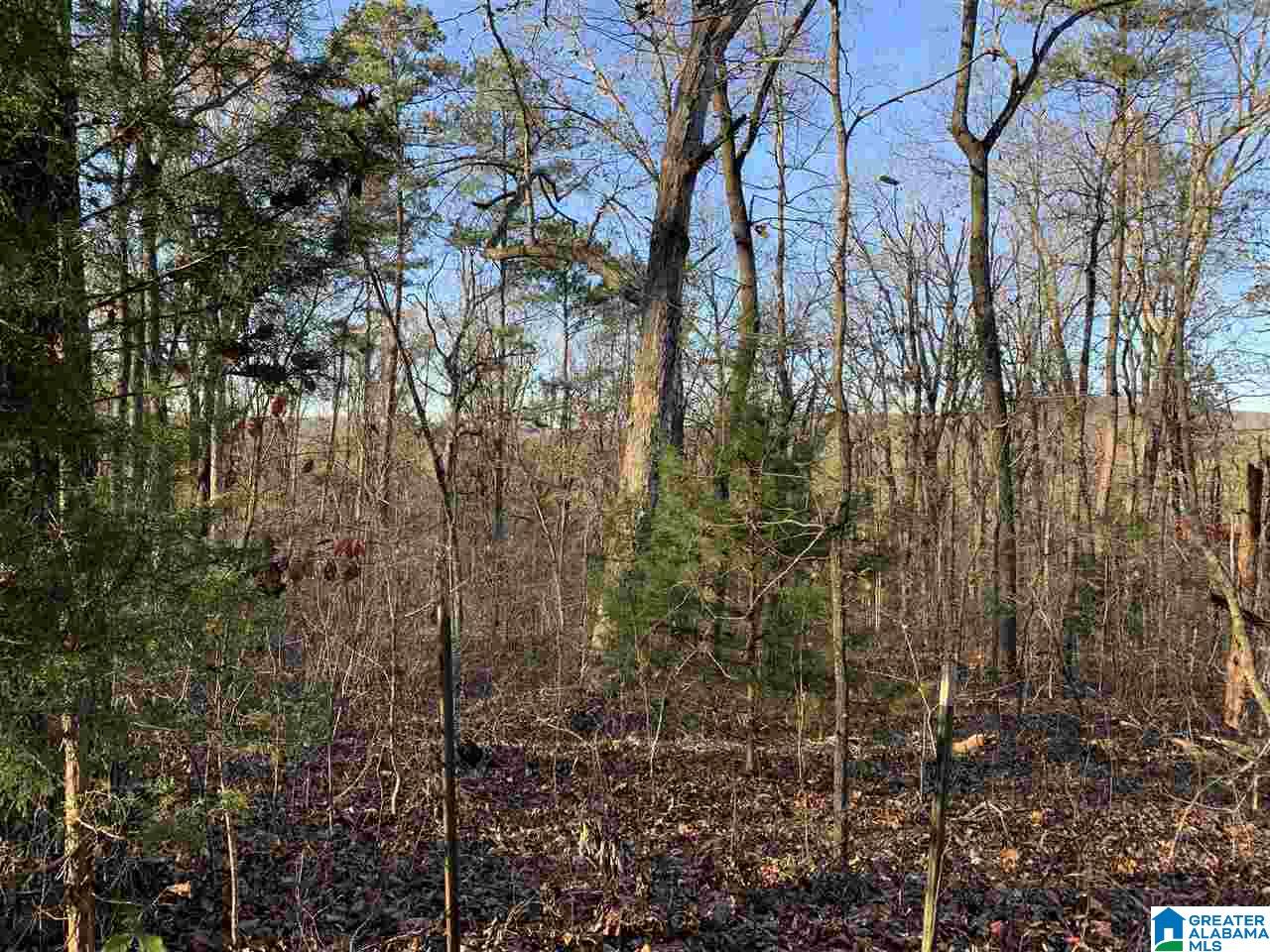 240 Larkhaven Lane, Unit 20 ACRES Springville, AL 35146 - Photo 8 of 17