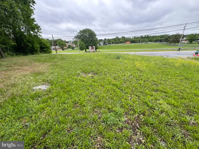 a view of a field with grass and trees