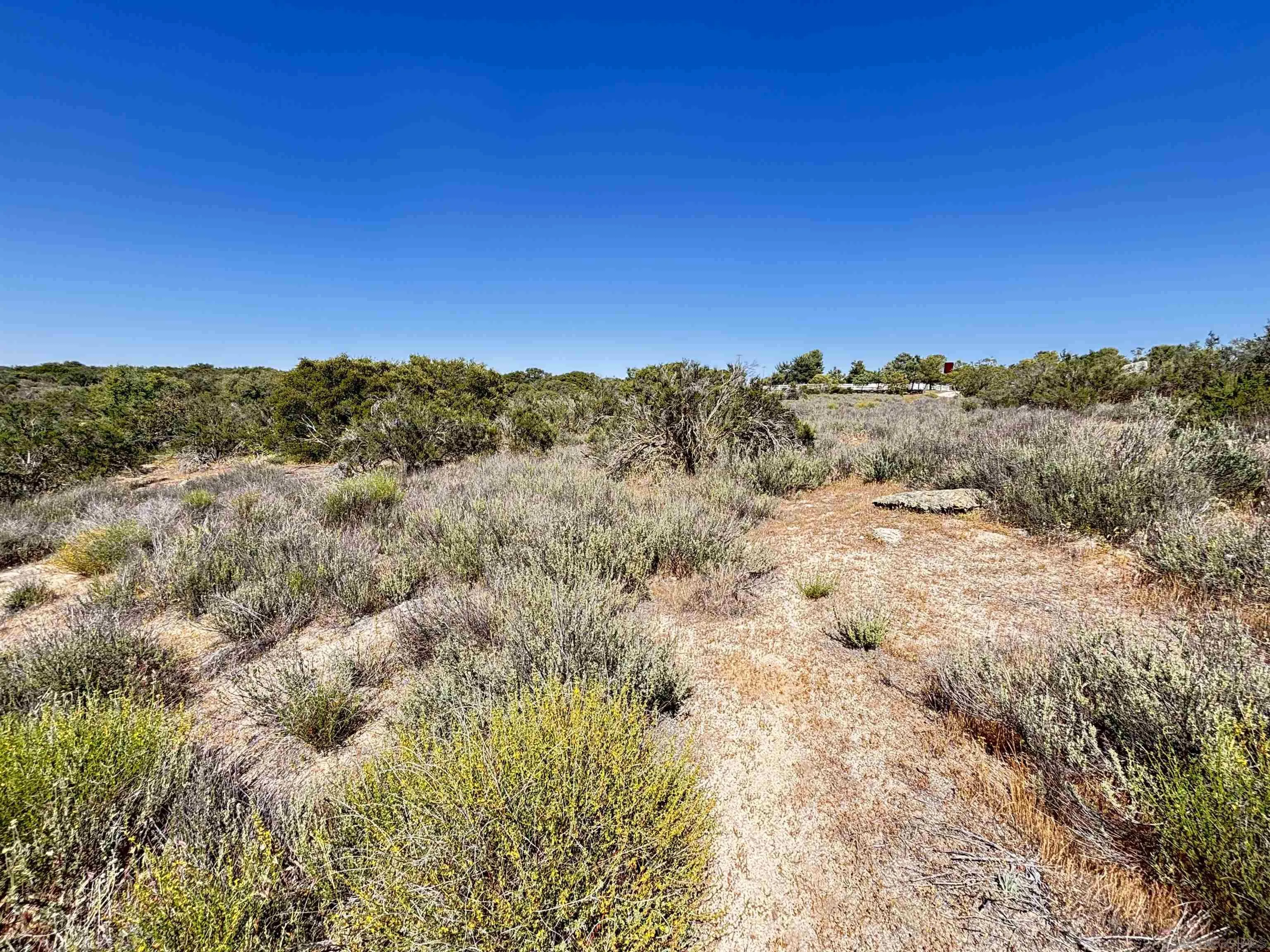 0 Shasta Way, Unit 1 Boulevard, CA 91905 - Photo 2 of 5 a view of a yard