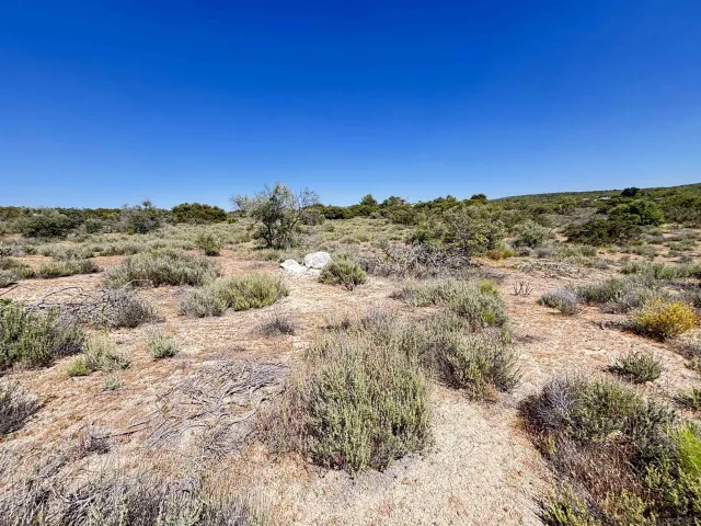 a view of a large body of water with a tree in the background