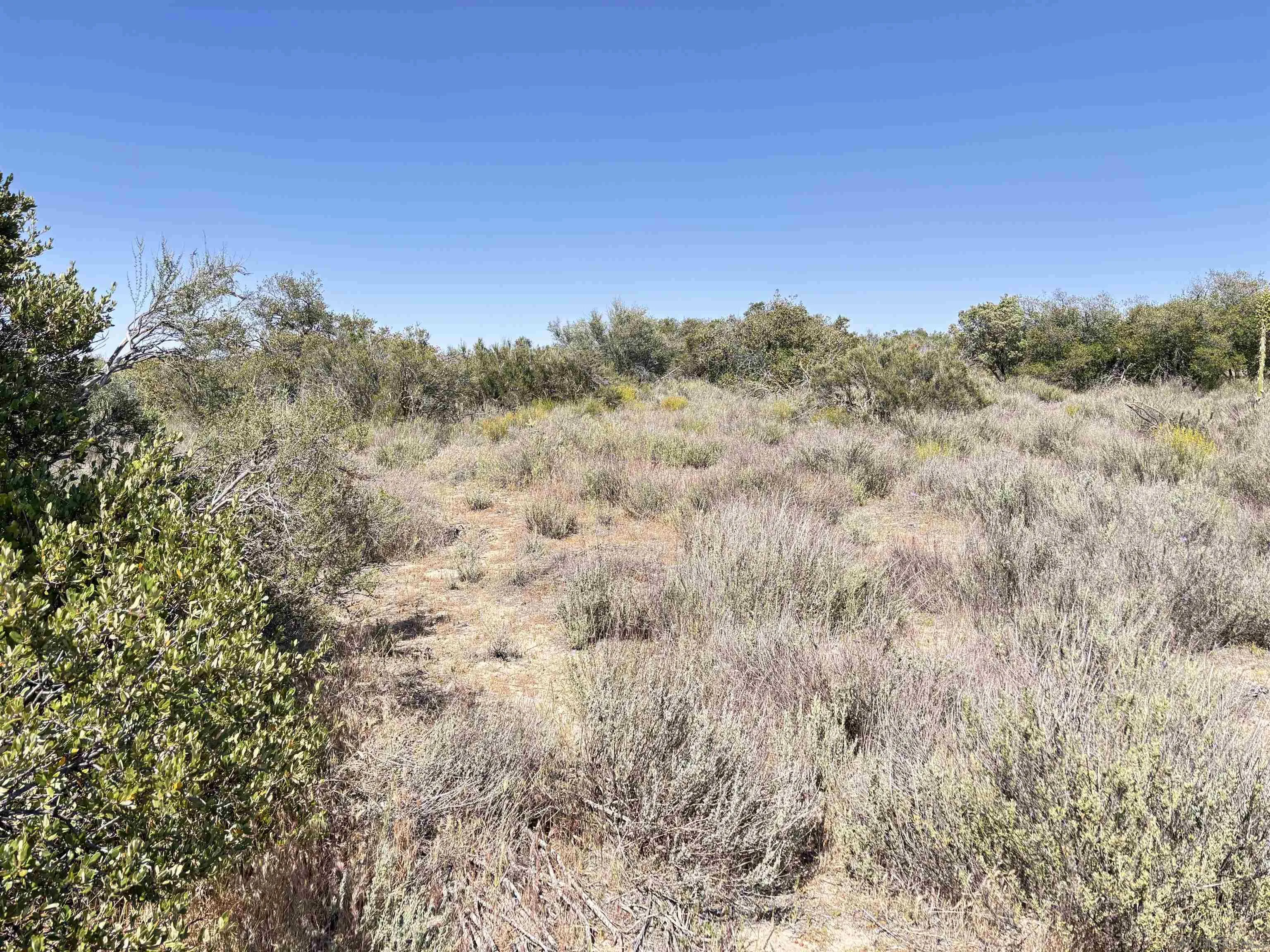 0 Shasta Way, Unit 1 Boulevard, CA 91905 - Photo 4 of 5 a view of a field