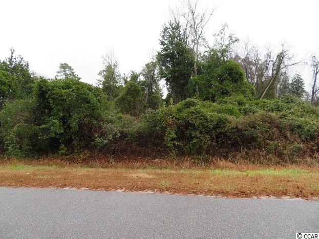 2057 Martin Street Loris, SC 29569 - Photo 3 of 7 Gallery Image 3