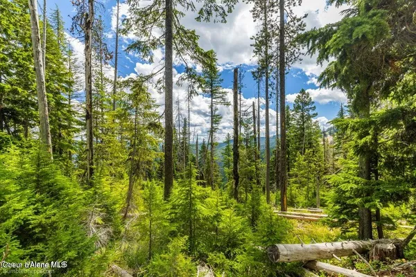 $2,950,000 | Nna Nna Silver Mountain, Kellogg, ID 83837