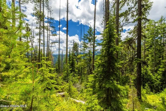 $2,950,000 | Nna Nna Silver Mountain, Kellogg, ID 83837