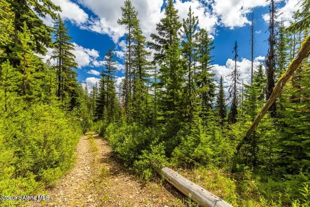 $2,950,000 | Nna Nna Silver Mountain, Kellogg, ID 83837