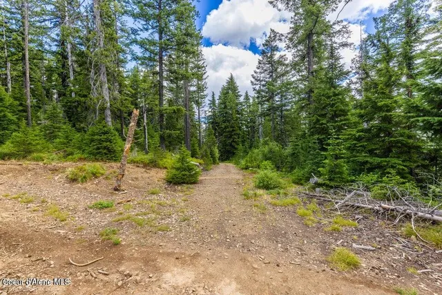 $2,950,000 | Nna Nna Silver Mountain, Kellogg, ID 83837