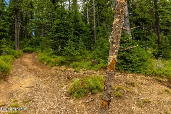 $2,950,000 | Nna Nna Silver Mountain, Kellogg, ID 83837