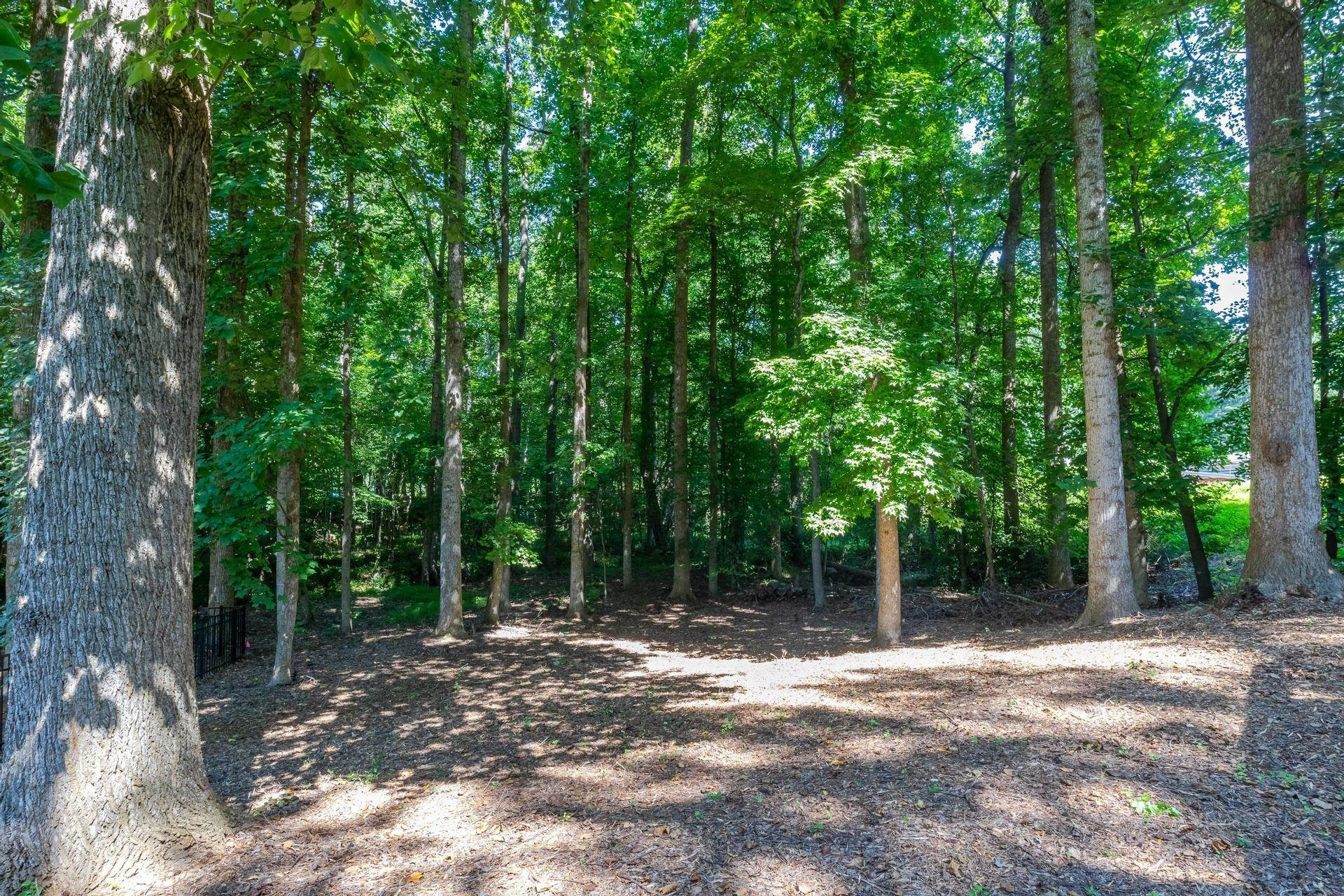 1101 Sawmill Road Raleigh, NC 27615 - Photo 34 of 38 Yard