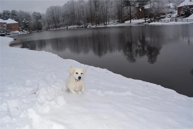 $6,900 | 870 Longstone Landing, Alpharetta, GA 30022