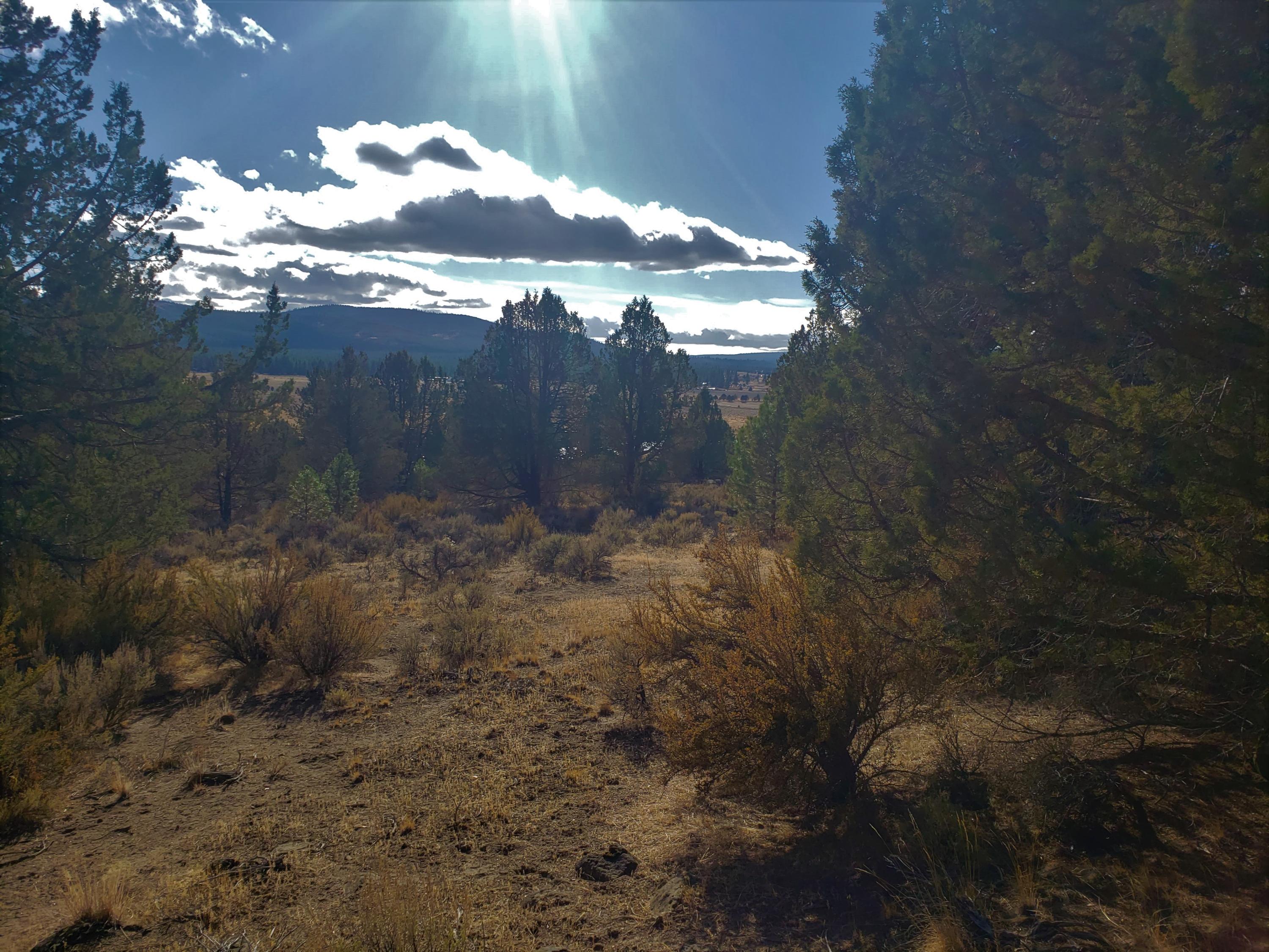 37 Drews Ranch Road Chiloquin, OR 97624 - Photo 13 of 16 20201110_133214