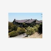 a picture of a room with a bench and a potted plant