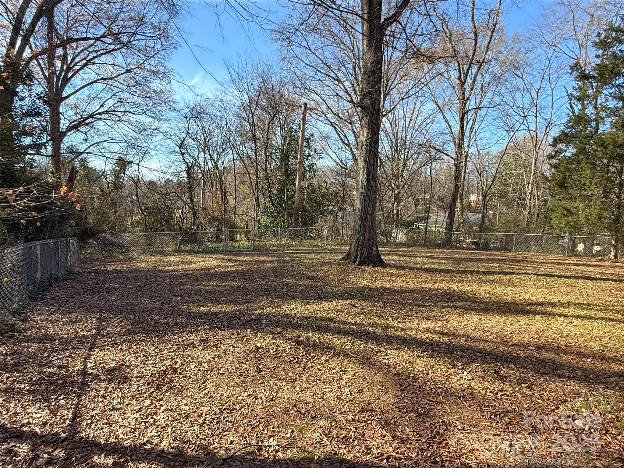 686 Elizabeth Street Southwest Concord, NC 28025 - Photo 30 of 44 a view of backyard space and tree