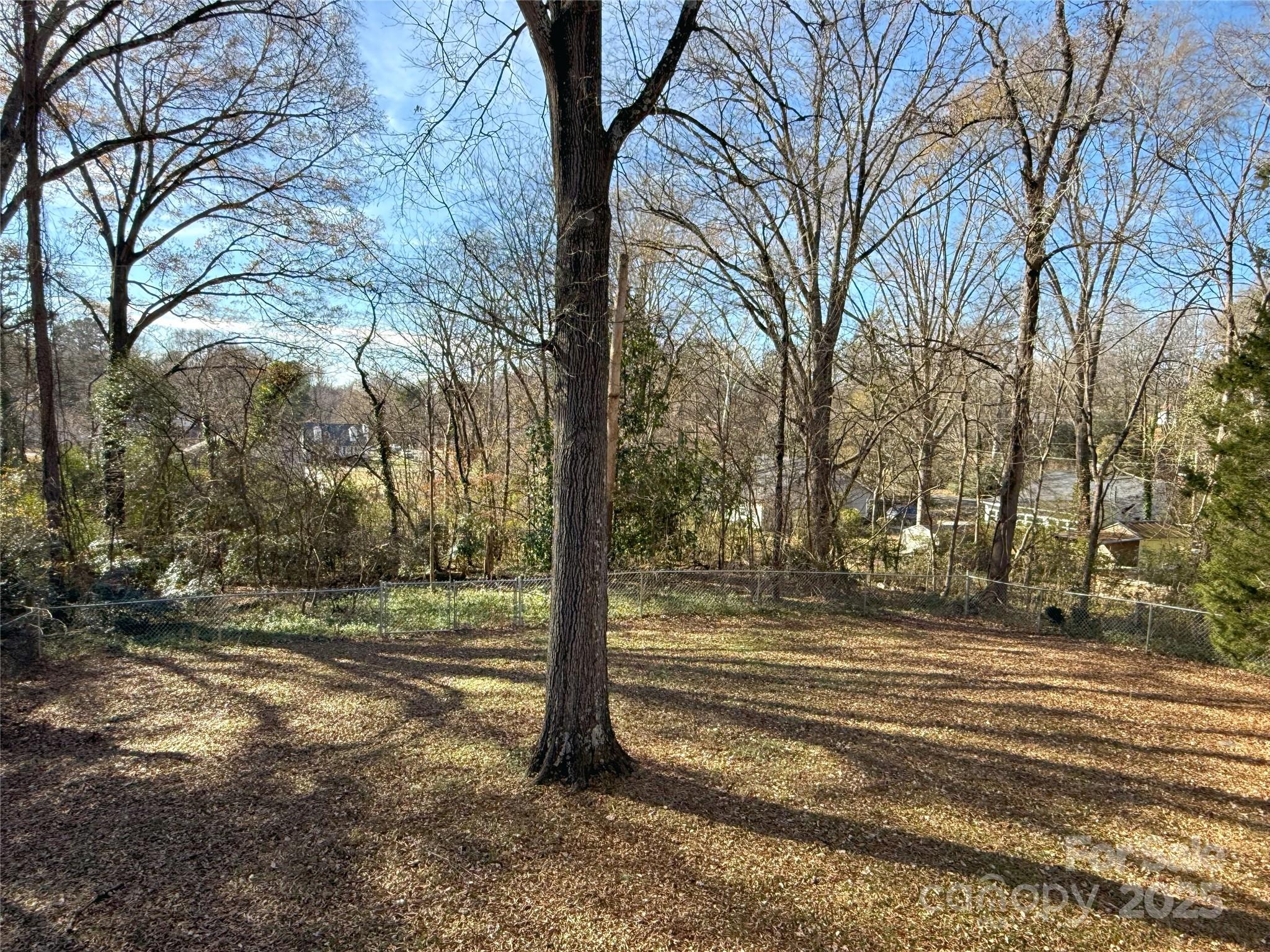 686 Elizabeth Street Southwest Concord, NC 28025 - Photo 40 of 44 a view of a yard with large trees