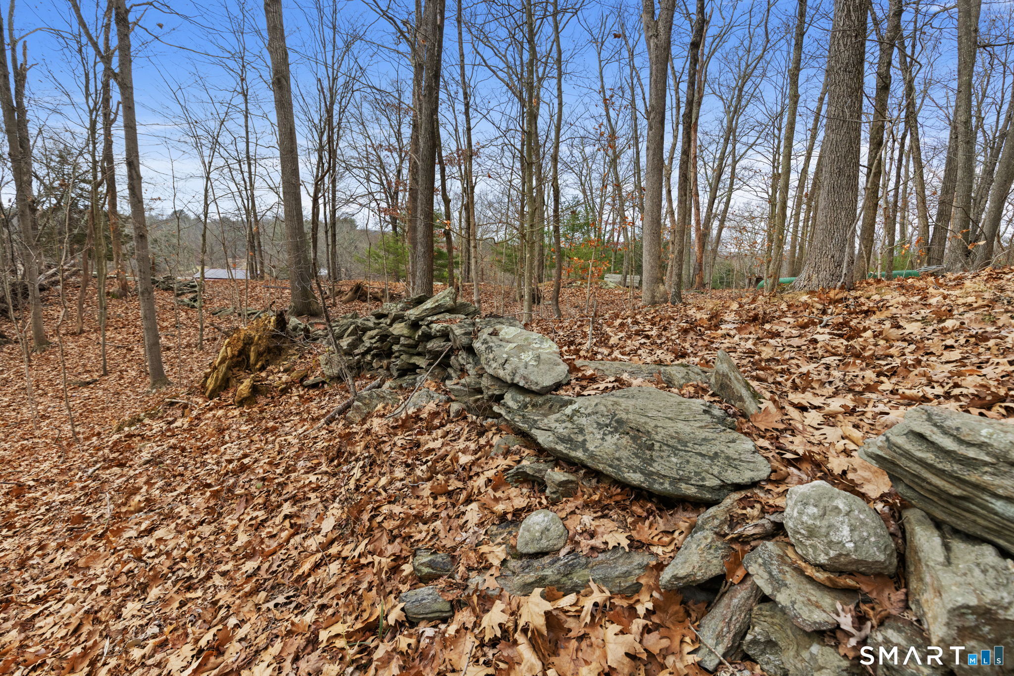 20 Toleration Road Scotland, CT 06330 - Photo 29 of 32