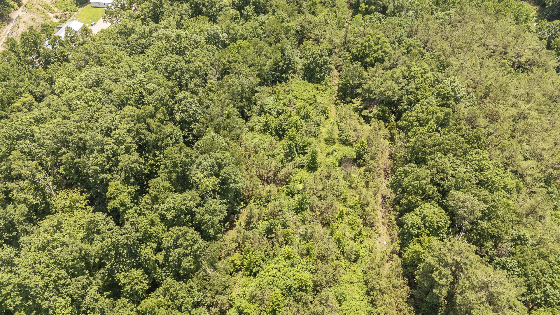 912 Simmons Branch Road Waynesboro, TN 38485 - Photo 8 of 21