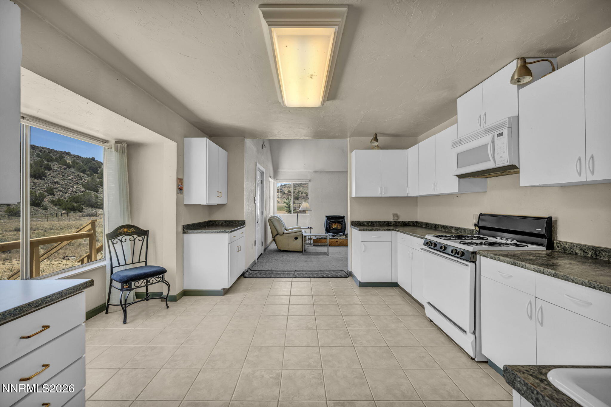 3490 Dry Lake Circle Reno, NV 89521 - Photo 4 of 89 67-web-or-mls-3490-dry-lake-cir