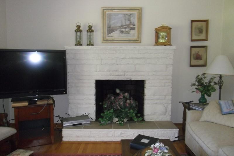 3728 Laurel Branch Road Northwest Floyd, VA 24091 - Photo 15 of 43 a living room with furniture a flat screen tv and a fireplace