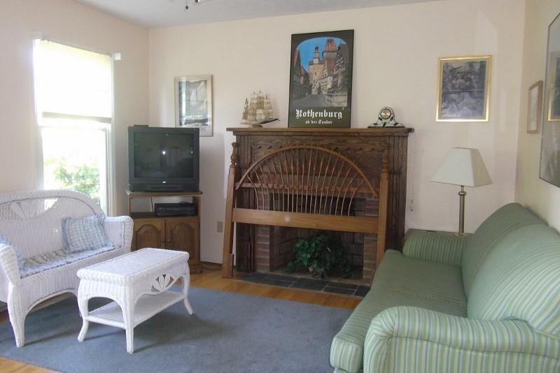 3728 Laurel Branch Road Northwest Floyd, VA 24091 - Photo 28 of 43 a living room with furniture a fireplace and a flat screen tv