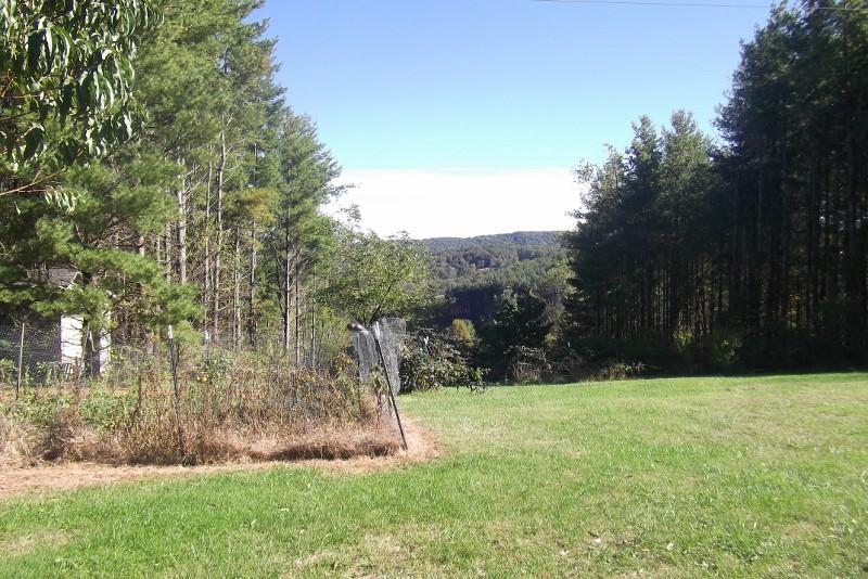 3728 Laurel Branch Road Northwest Floyd, VA 24091 - Photo 8 of 43 a view of backyard with green space