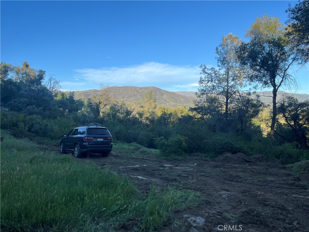 5643 Carleton Road Mariposa, CA 95338 - Photo 11 of 22 a view of a yard with a mountain